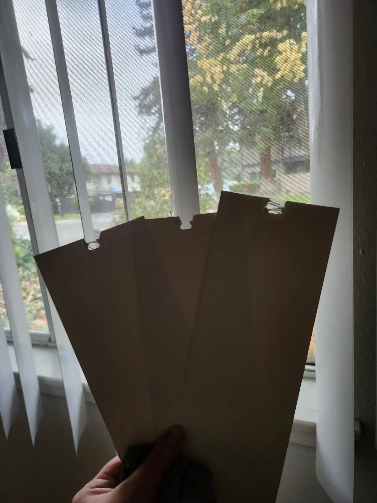 After — House Cleaning in Davis, CA — September 2026