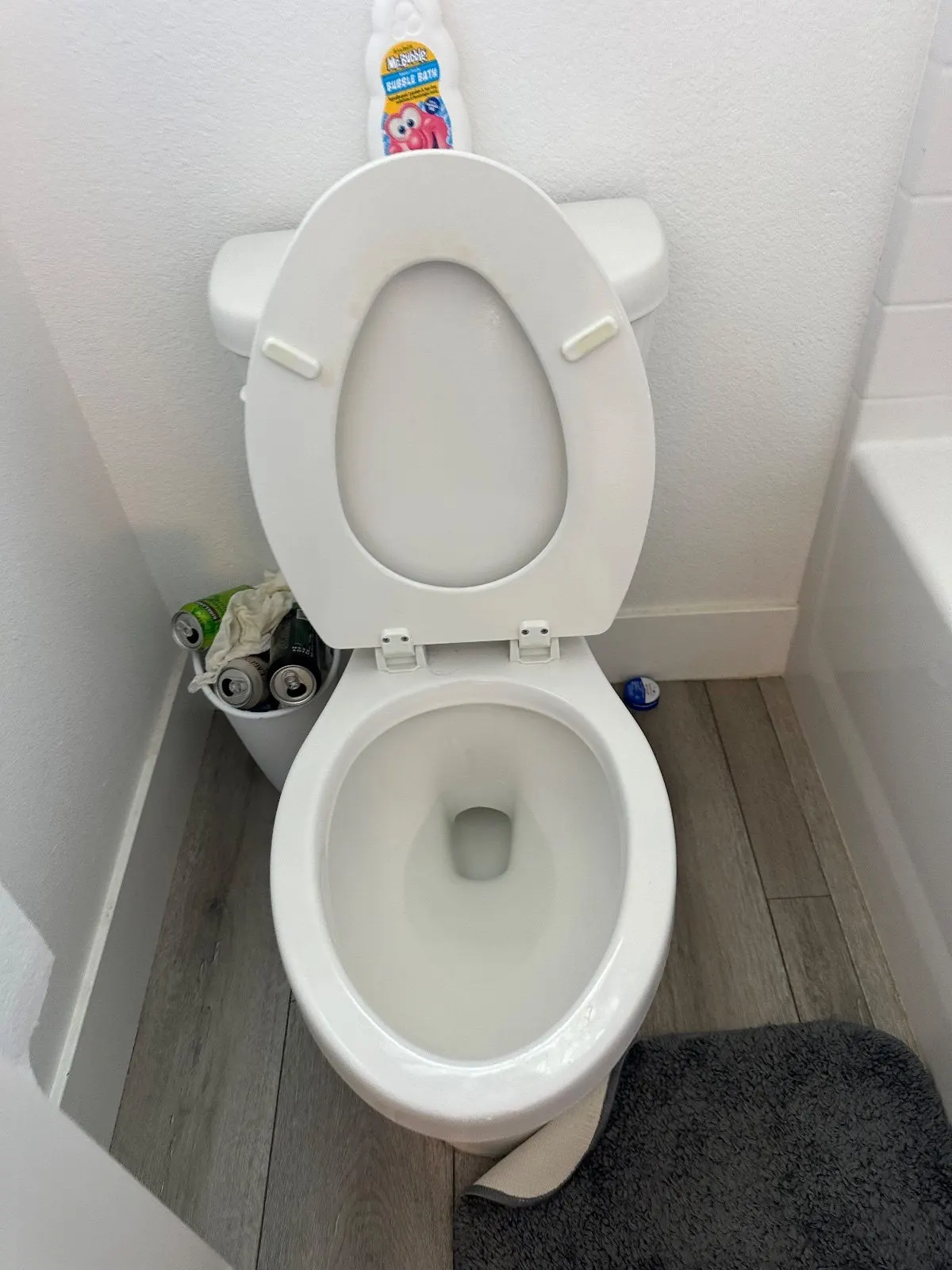 Before — House Cleaning in Woodland, CA — September 2026