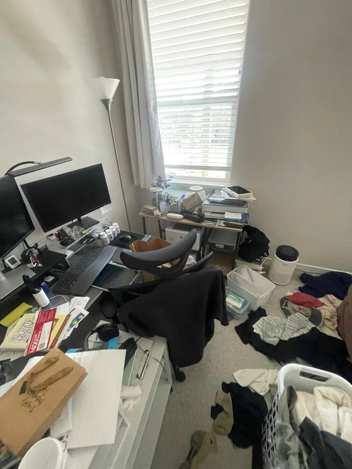 Before — Home Organizing in Roseville, CA — September 2026