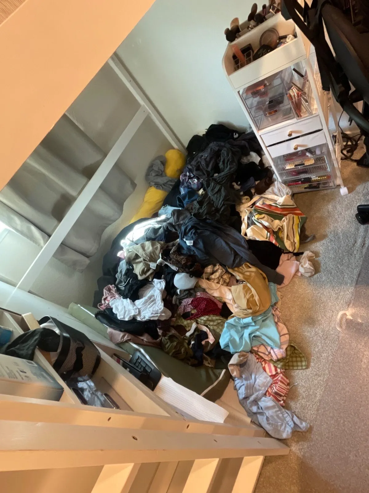 Before — Home Organizing in Roseville, CA — September 2026