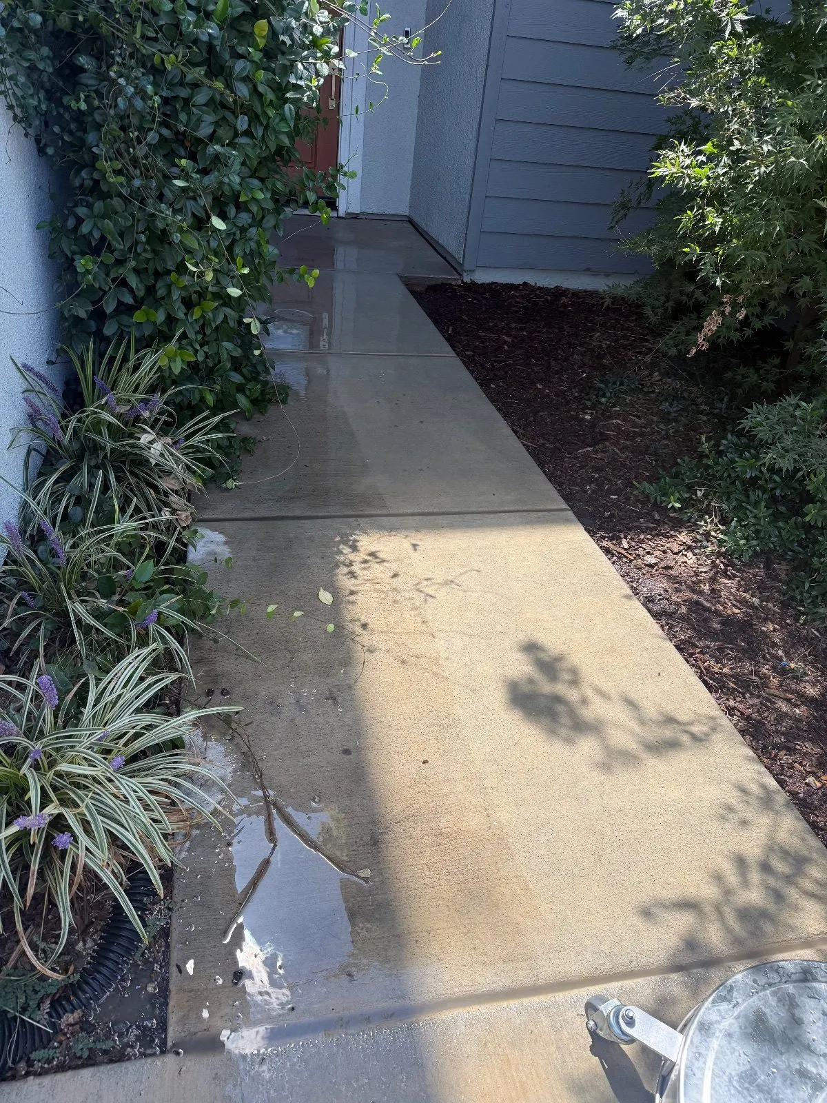 After — Pressure Washing in Roseville, CA — September 2026
