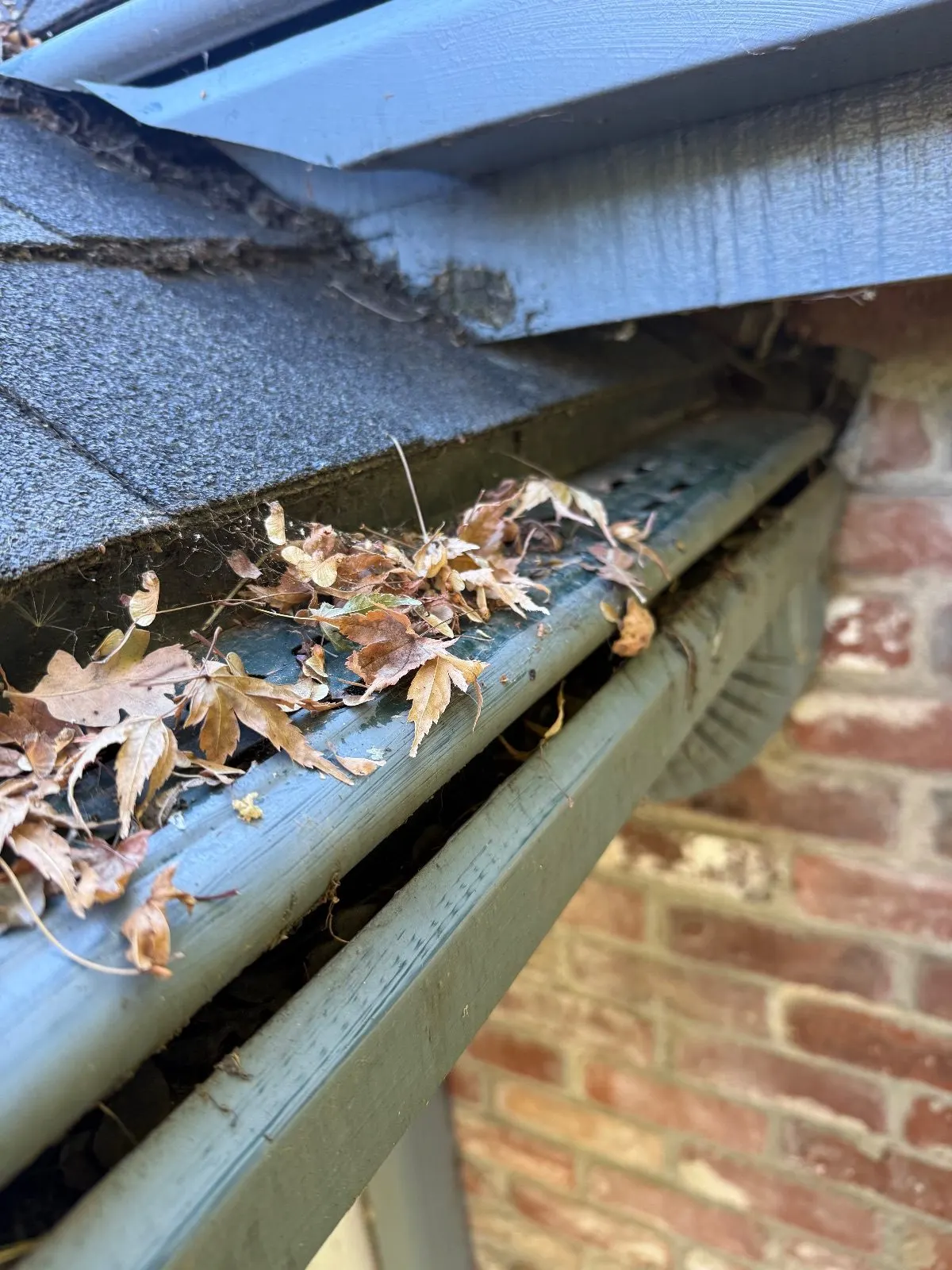 Before — Gutter Cleaning and Maintenance in Fair Oaks, CA — September 2026