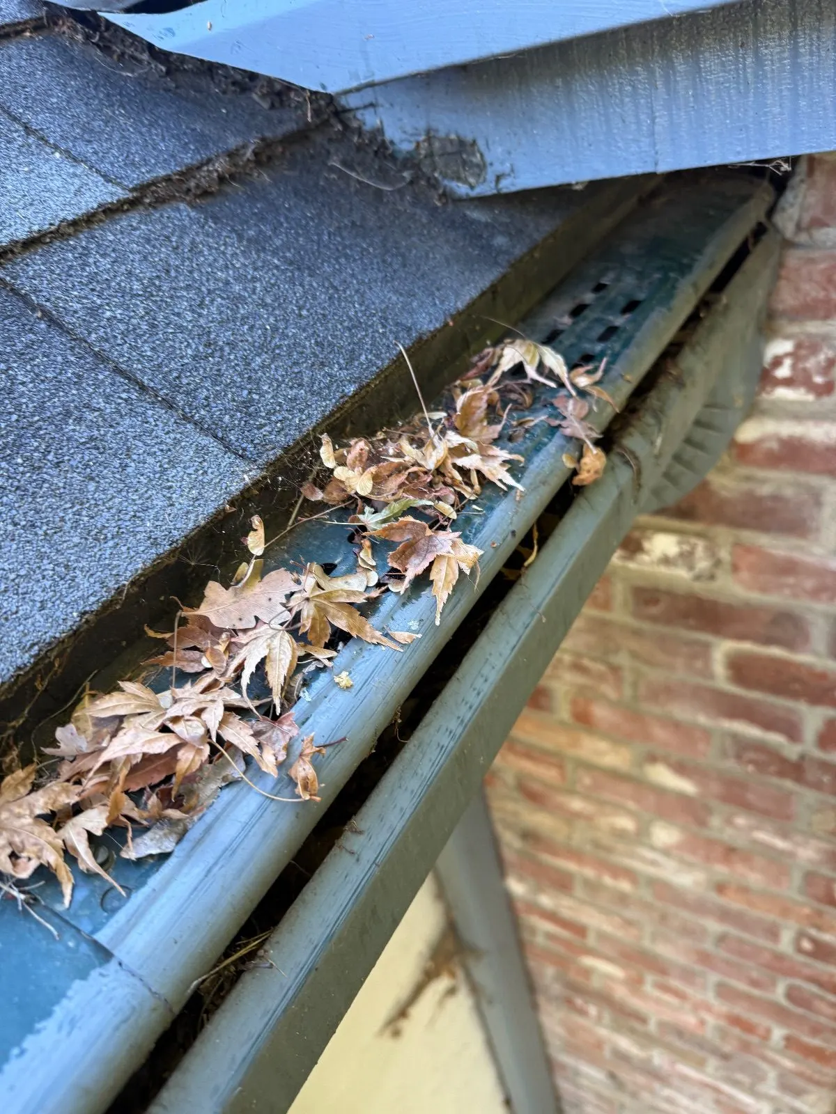 Before — Gutter Cleaning and Maintenance in Fair Oaks, CA — September 2026
