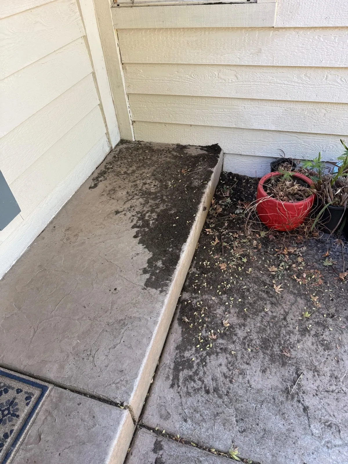After — Gutter Cleaning and Maintenance in Fair Oaks, CA — September 2026