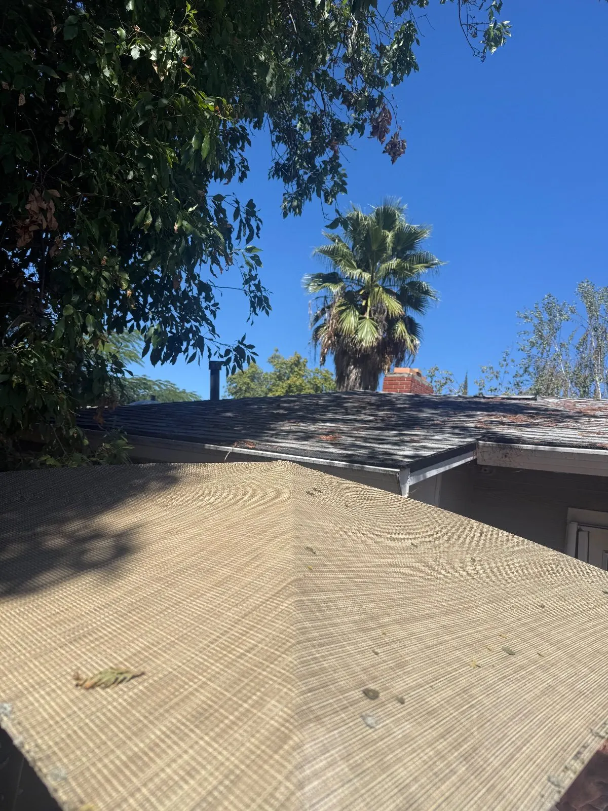 Before — Gutter Cleaning and Maintenance in Rancho Cordova, CA — September 2026