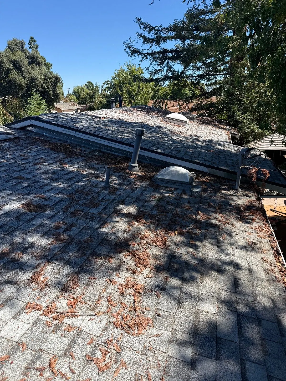 Before — Gutter Cleaning and Maintenance in Rancho Cordova, CA — September 2026