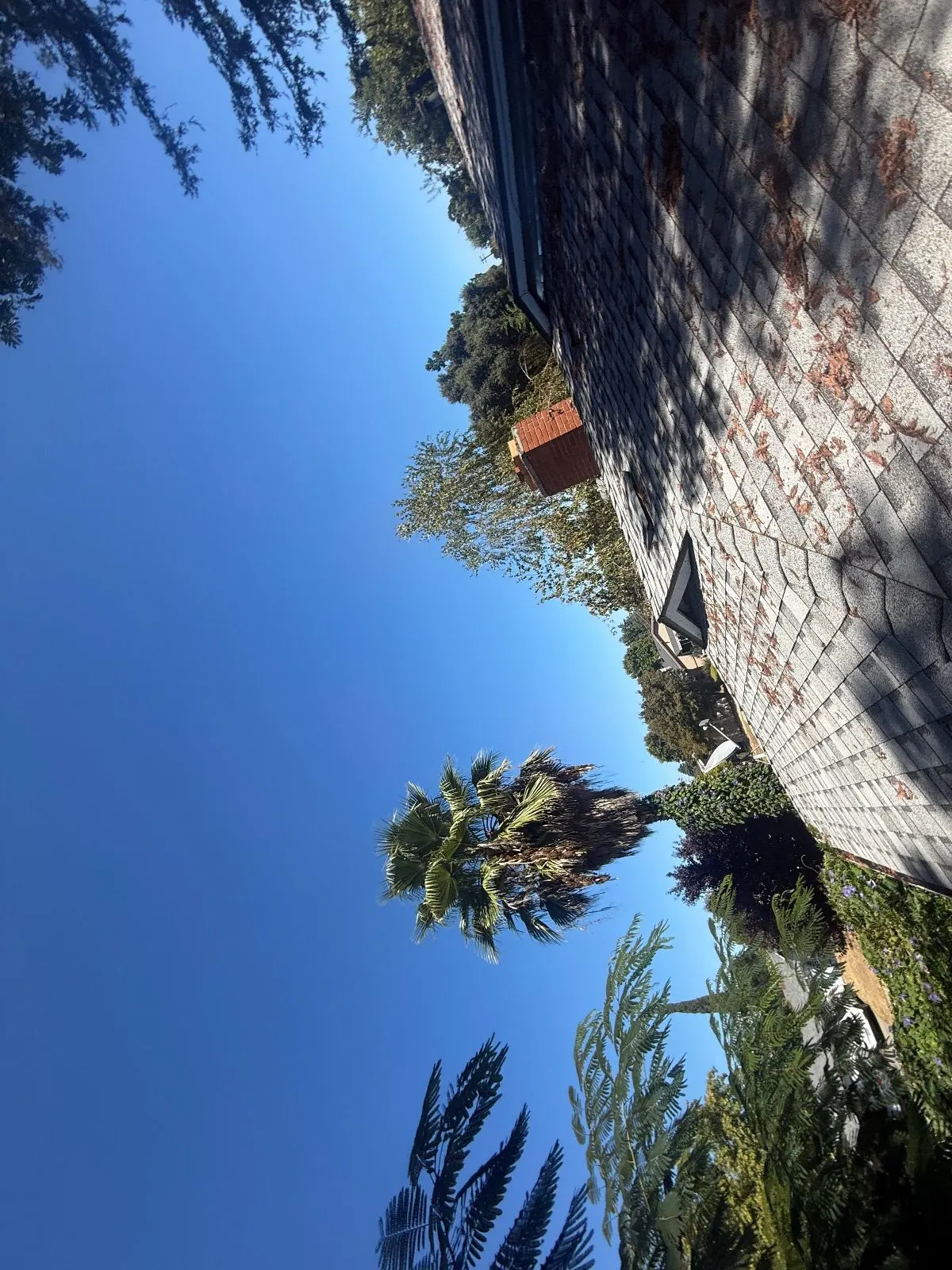Before — Gutter Cleaning and Maintenance in Rancho Cordova, CA — September 2026