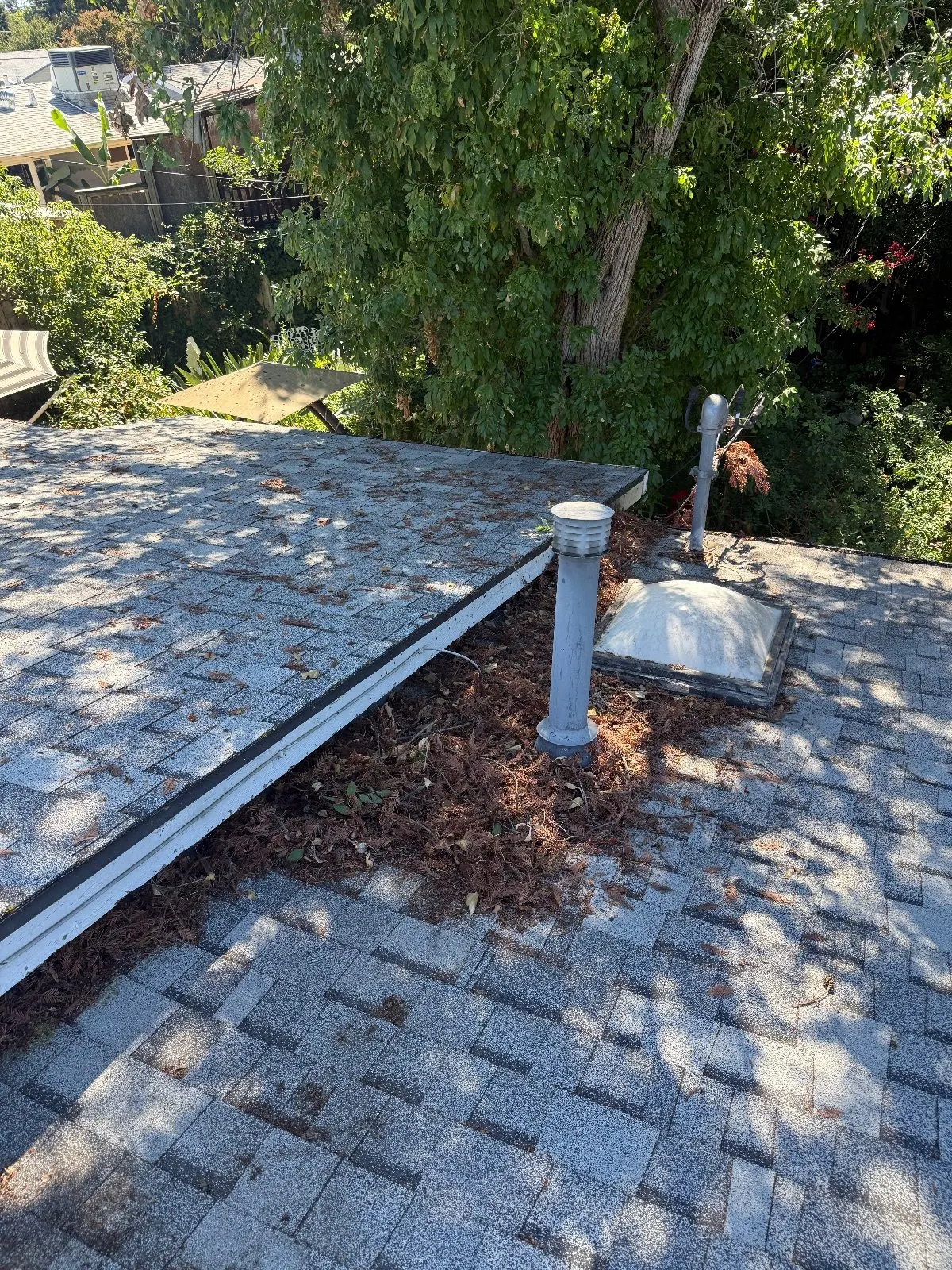 Before — Gutter Cleaning and Maintenance in Rancho Cordova, CA — September 2026