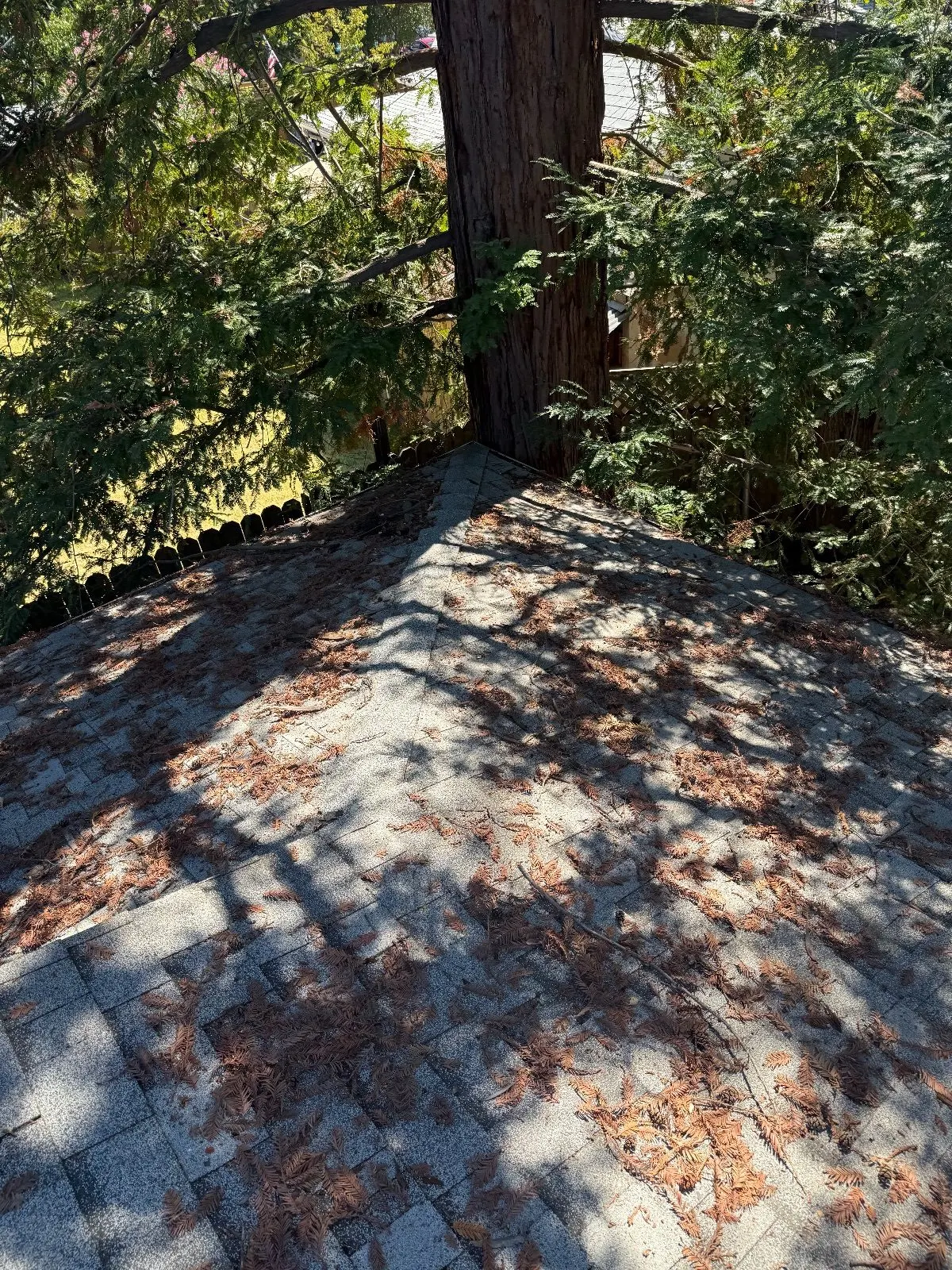 Before — Gutter Cleaning and Maintenance in Rancho Cordova, CA — September 2026