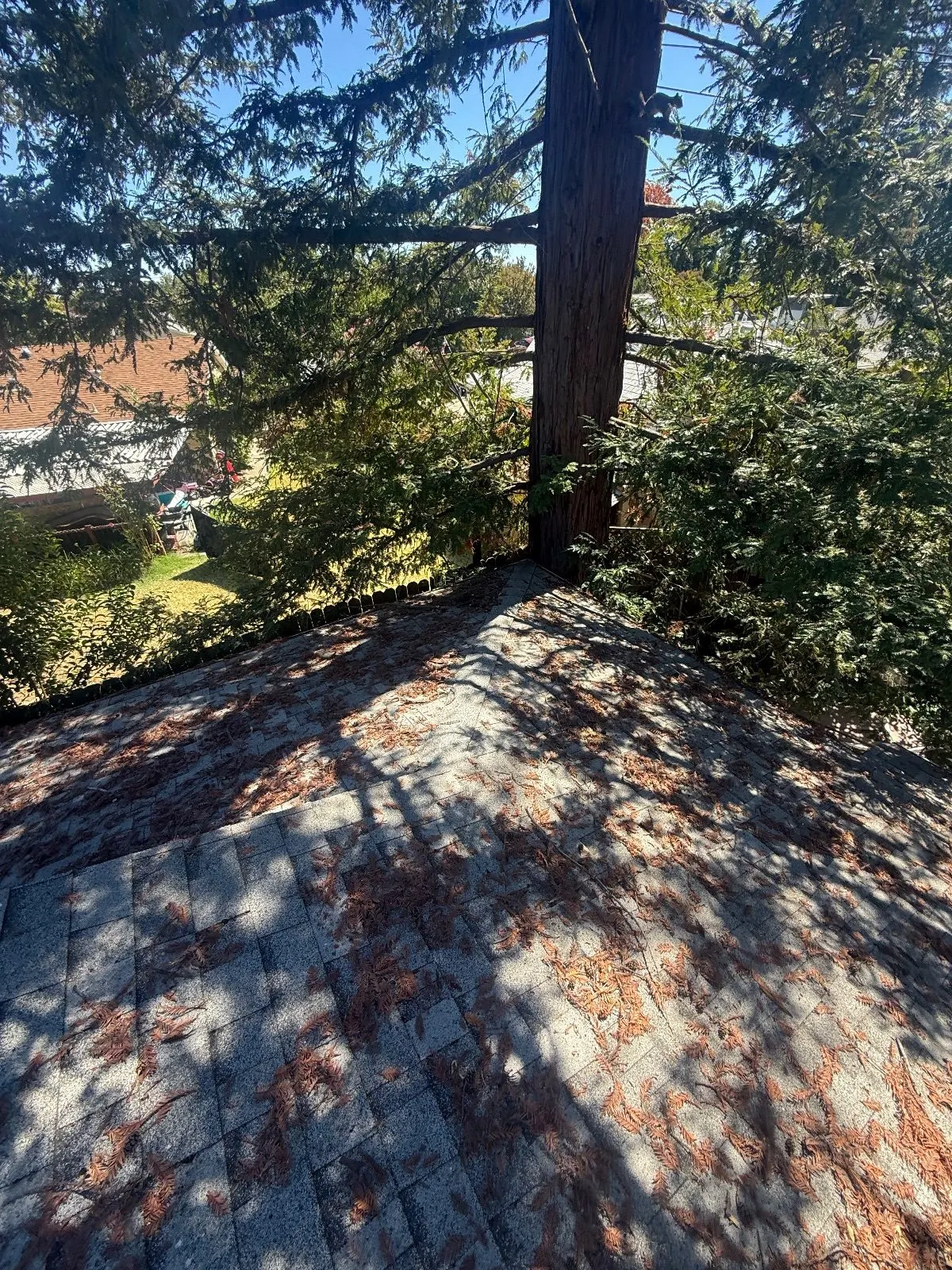 Before — Gutter Cleaning and Maintenance in Rancho Cordova, CA — September 2026