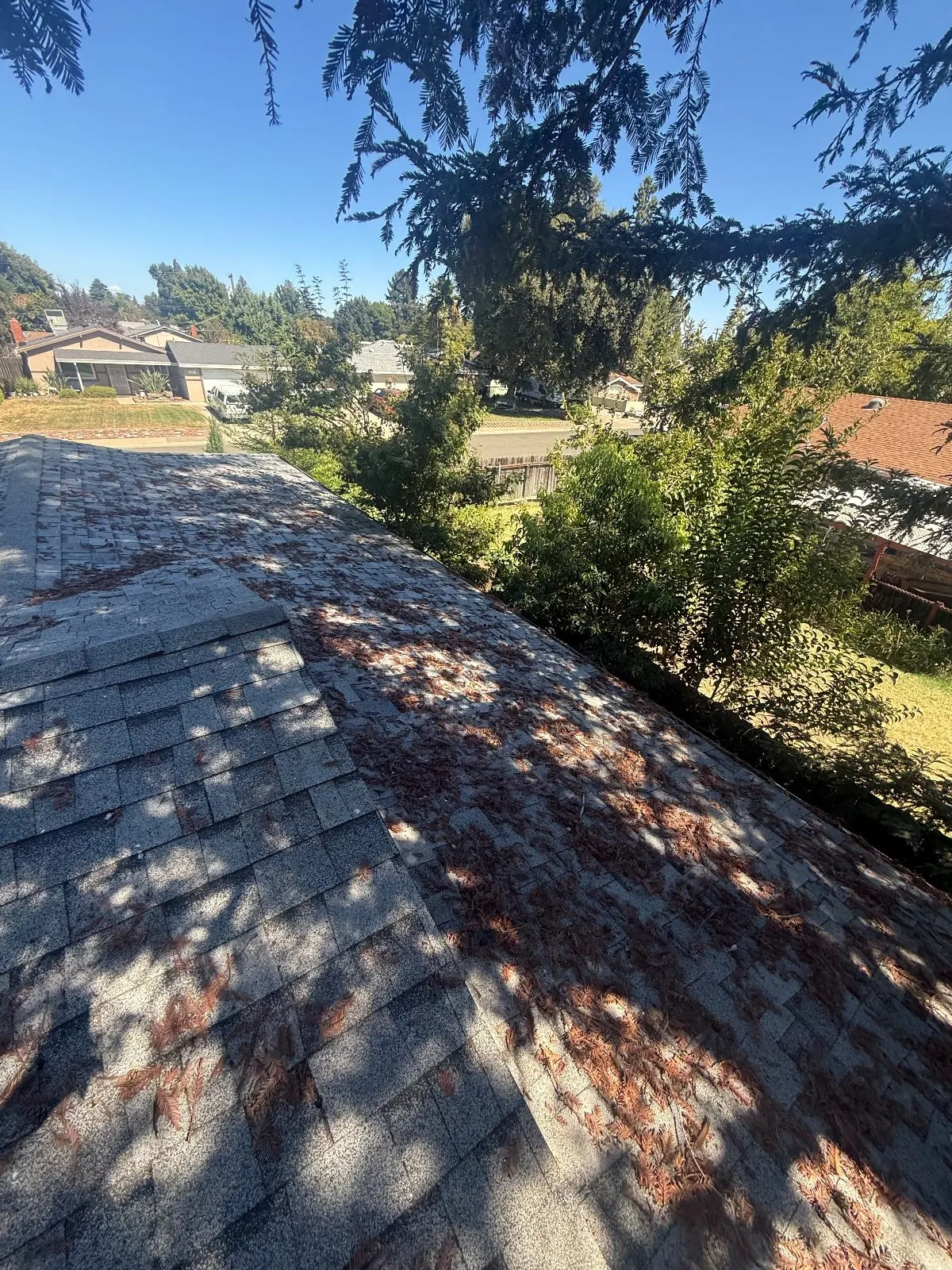 Before — Gutter Cleaning and Maintenance in Rancho Cordova, CA — September 2026