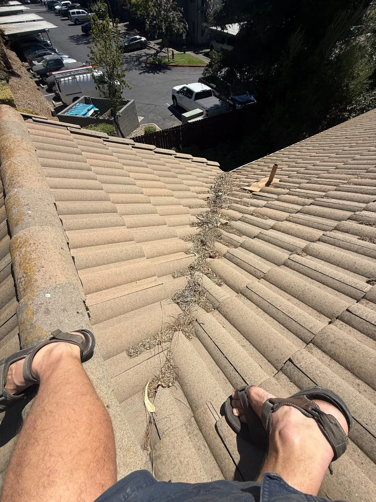 Before — Gutter Cleaning and Maintenance in Orangevale, CA — September 2026