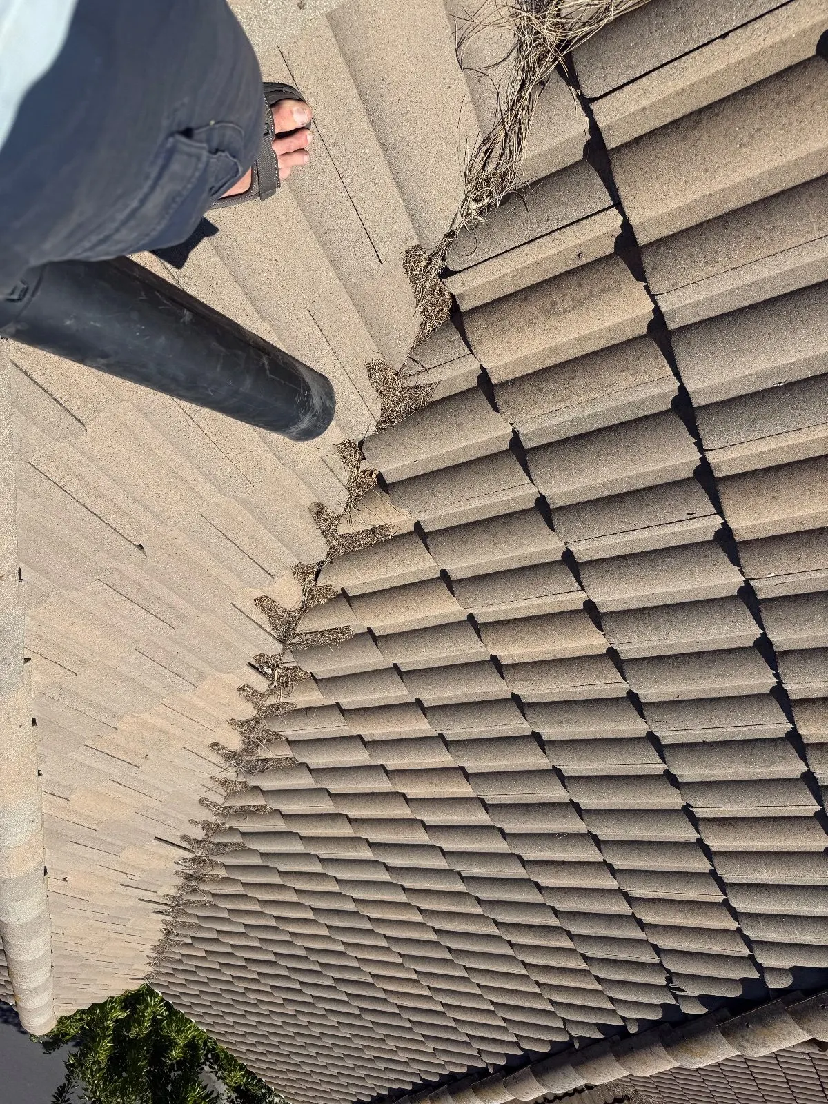 Before — Gutter Cleaning and Maintenance in Orangevale, CA — September 2026