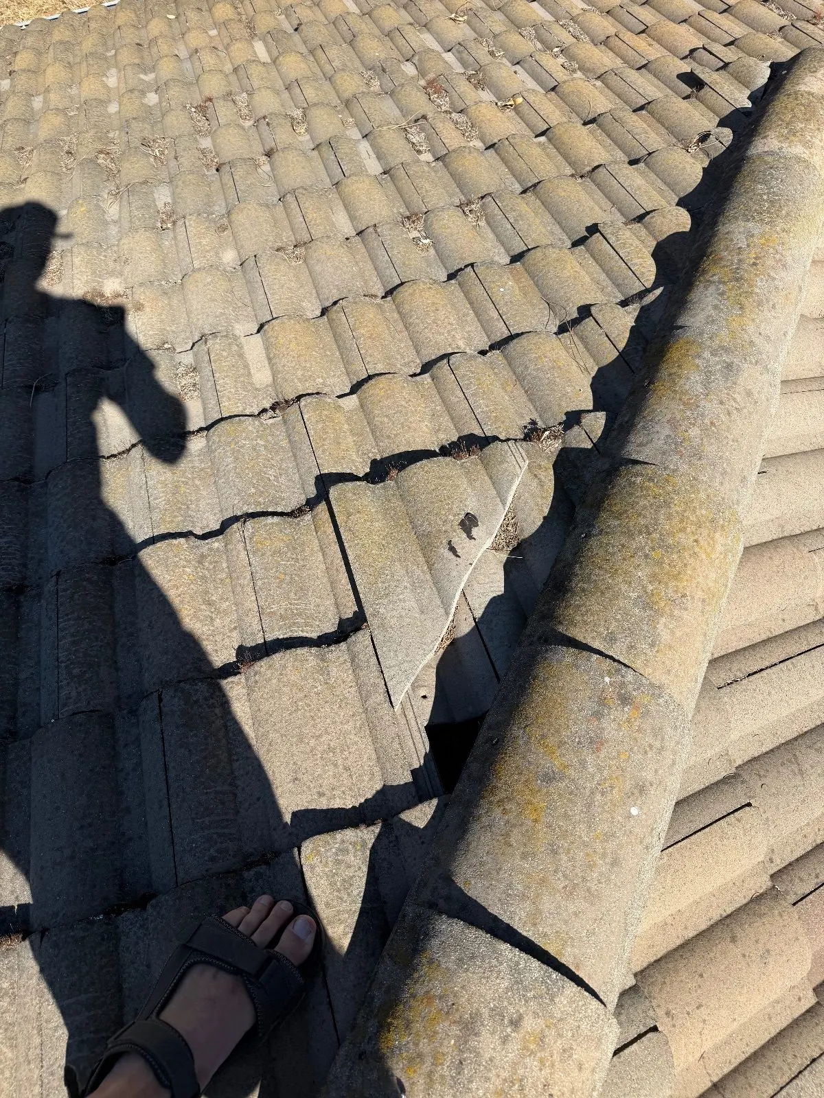 Before — Gutter Cleaning and Maintenance in Orangevale, CA — September 2026