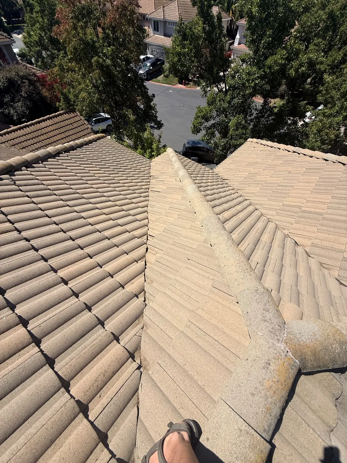 After — Gutter Cleaning and Maintenance in Orangevale, CA — September 2026