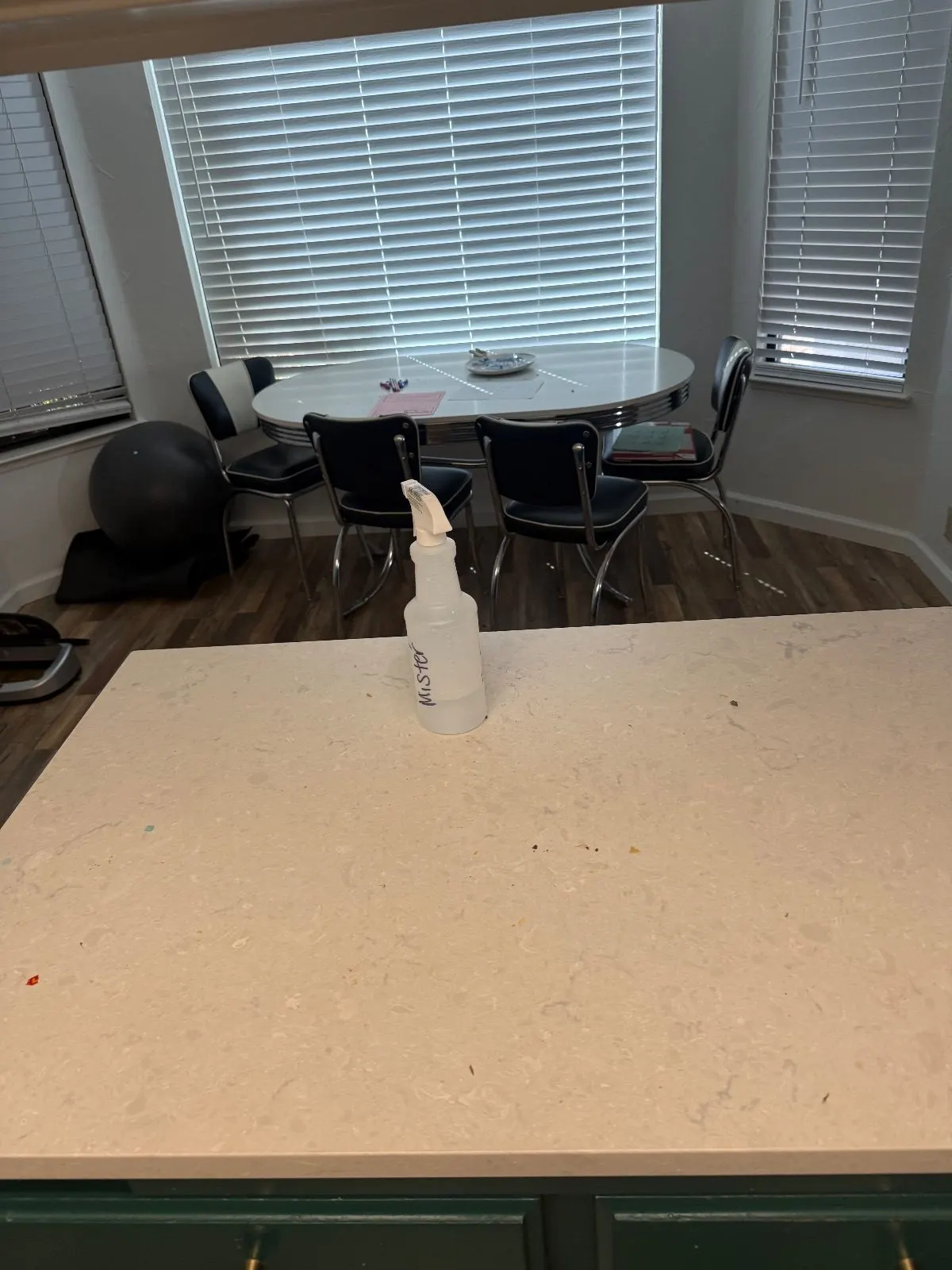 Before — House Cleaning in Roseville, CA — September 2026