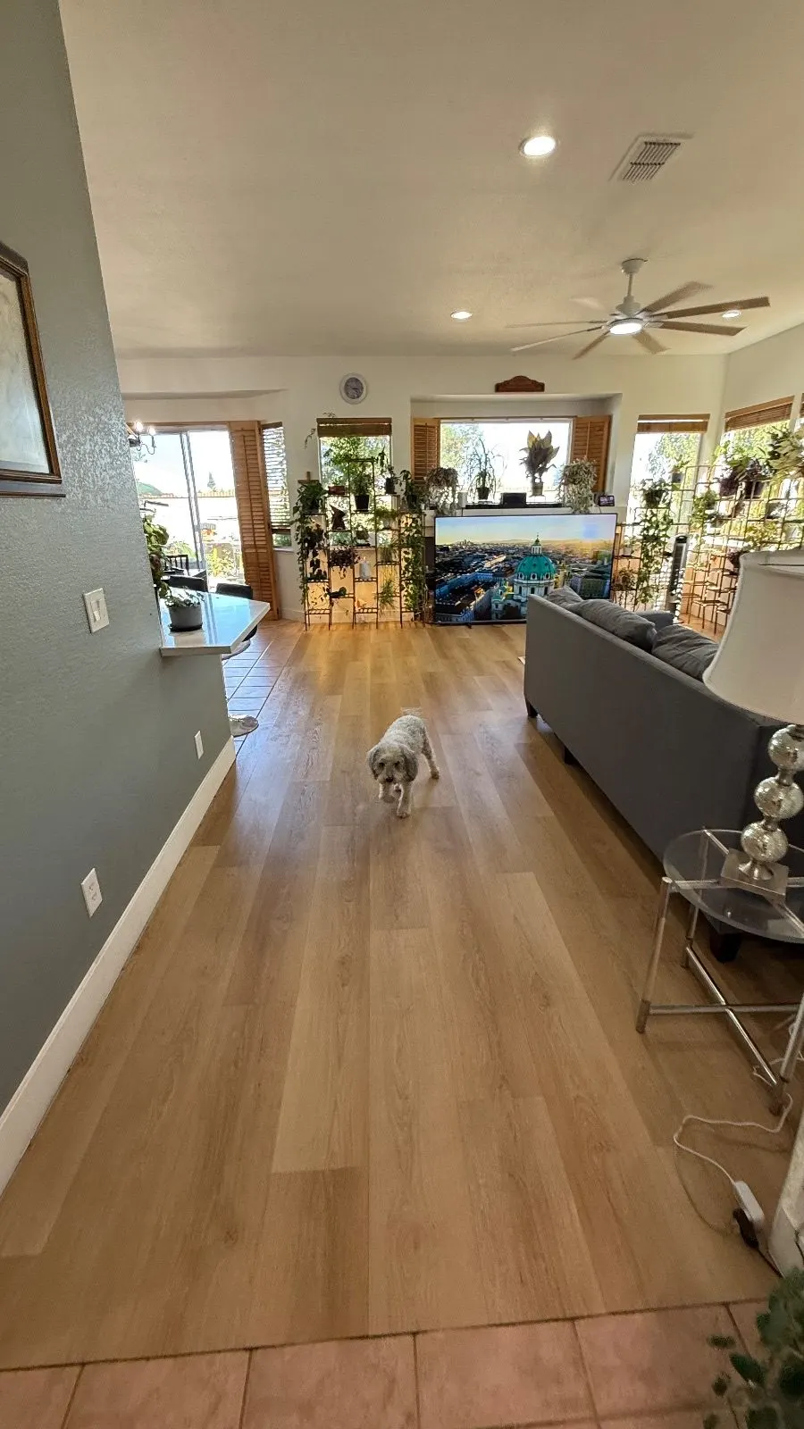 After — House Cleaning in Sacramento, CA — September 2026