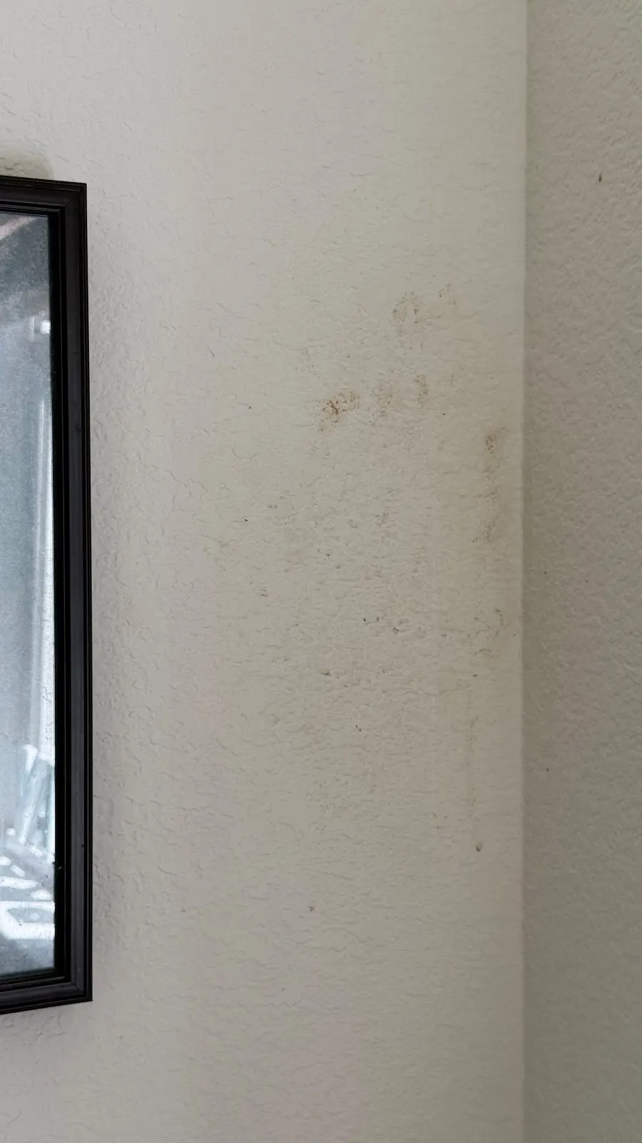 Before — House Cleaning in Sacramento, CA — September 2026