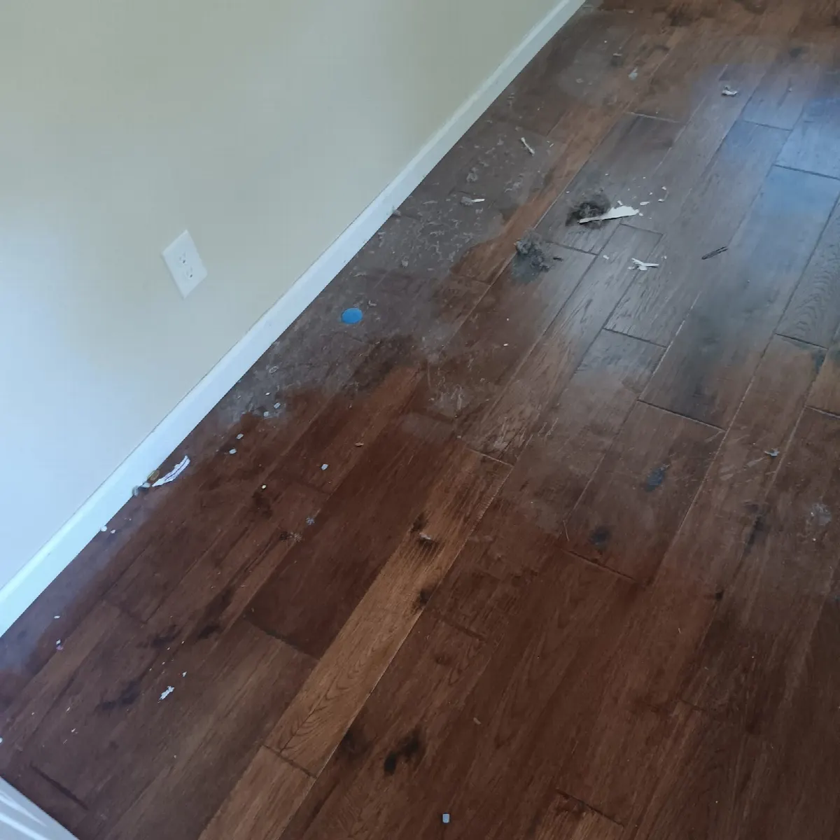 Before — House Cleaning in Sacramento, CA — September 2026