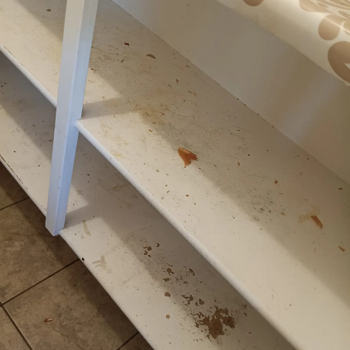 Before — House Cleaning in Sacramento, CA — September 2026