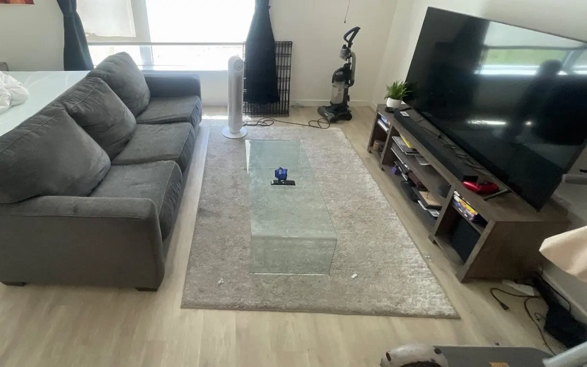 Gray fabric sofa in a living room with light wood floors