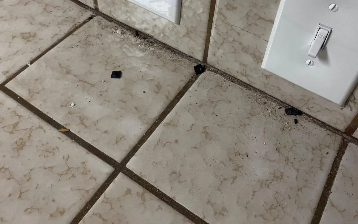 Dark, dirt-filled grout lines on a tiled kitchen counter and backsplash