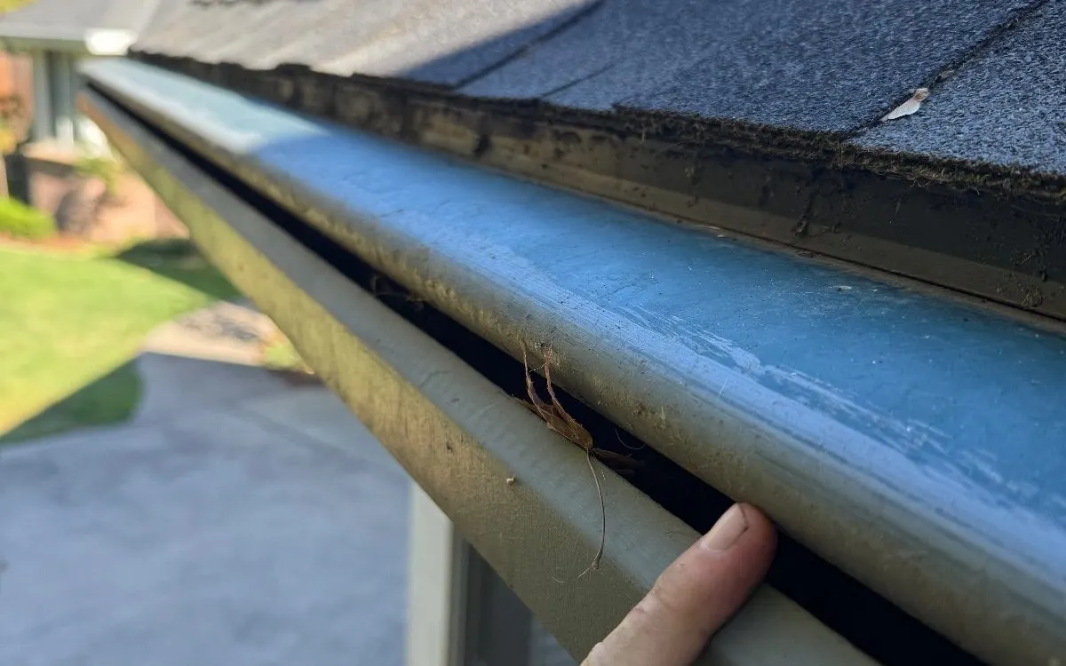 Checking a cleaned gutter along a shingle roof edge