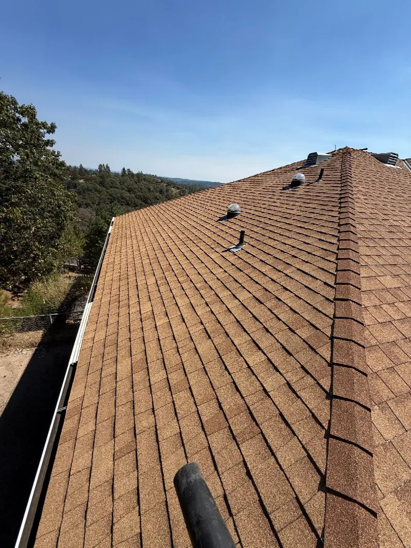 Gutter Cleaning and Maintenance in Applegate, CA