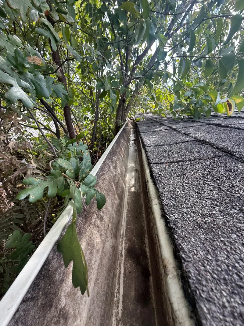 Gutter Cleaning and Maintenance in Citrus Heights, CA