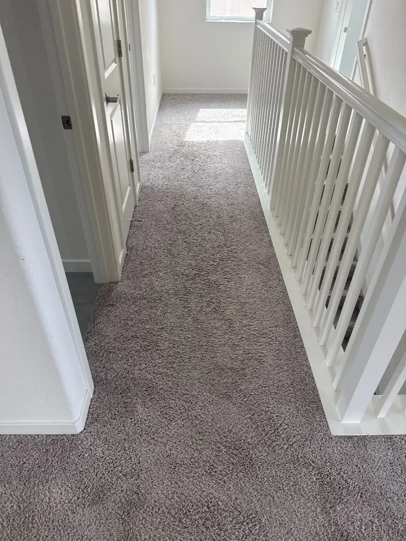 Carpet Cleaning in Folsom, CA