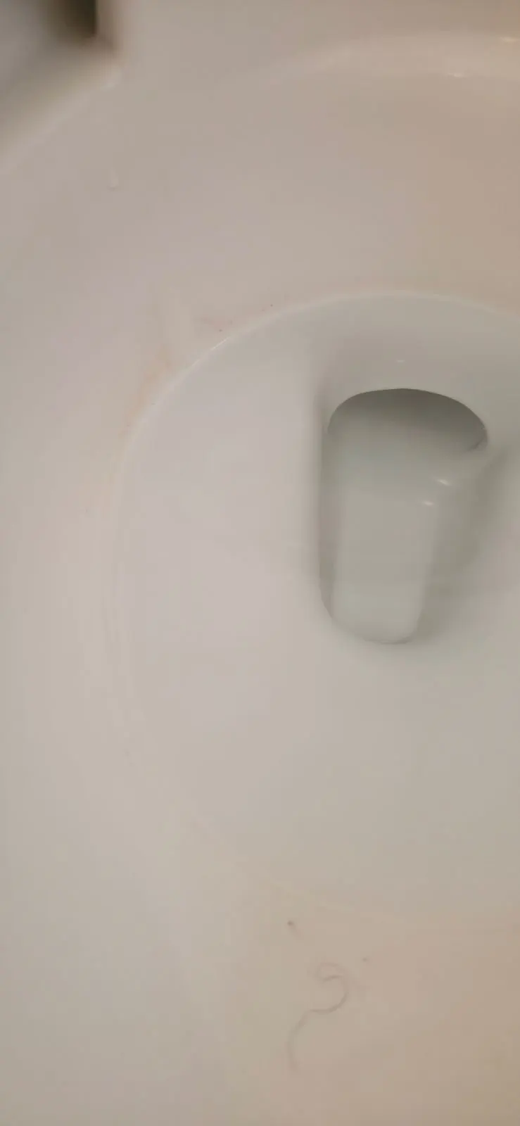 House Cleaning in Sacramento, CA