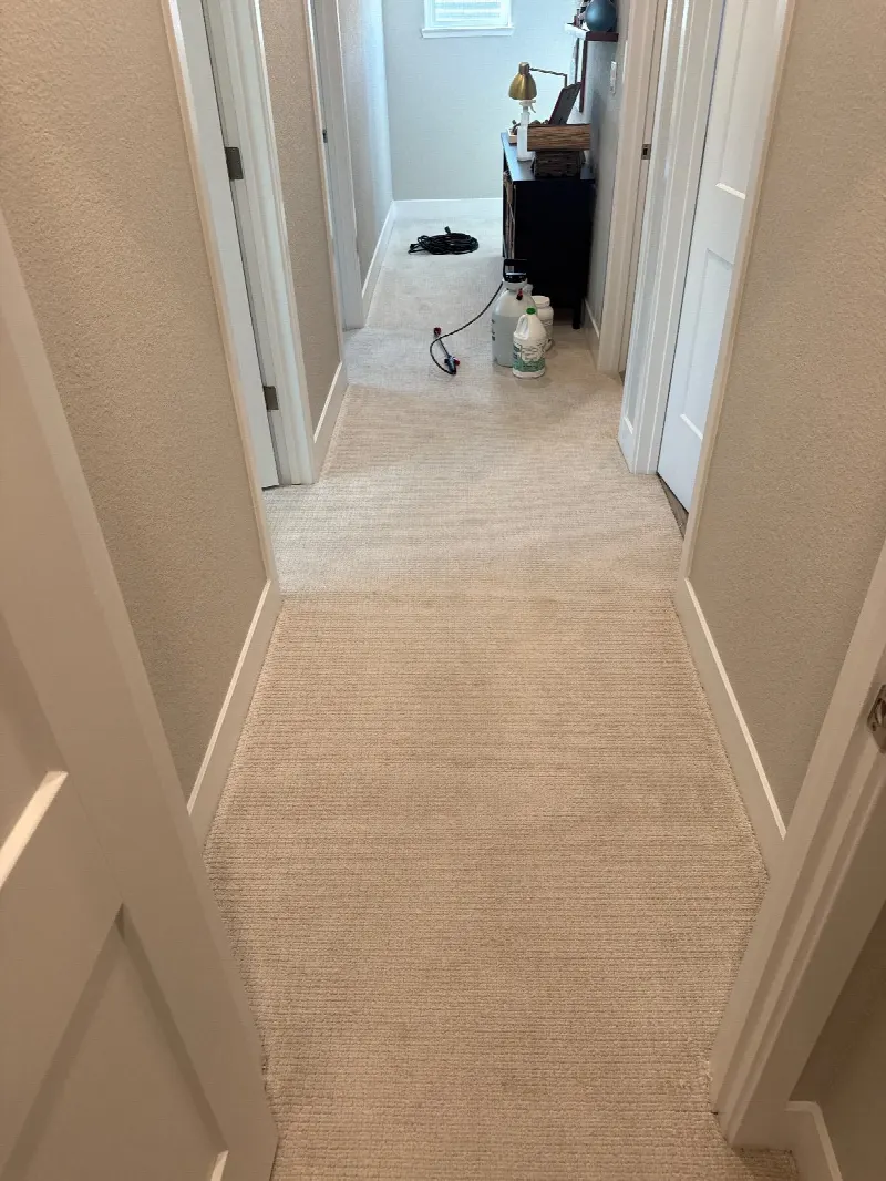 Carpet Cleaning in Rocklin, CA