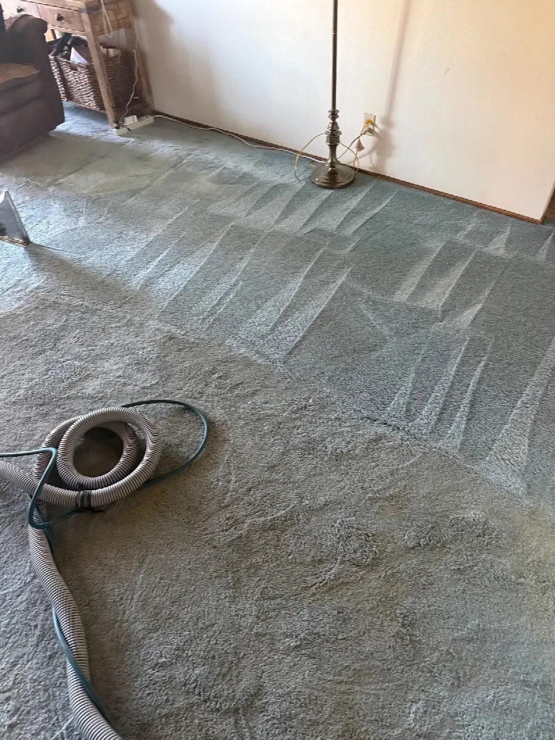 Carpet Cleaning in Shingle Springs, CA