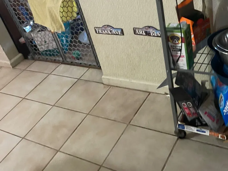 House Cleaning in West Sacramento, CA