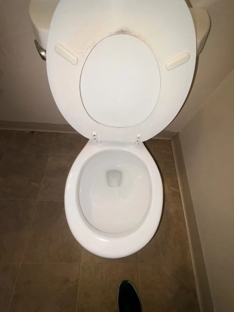 House Cleaning in Davis, CA