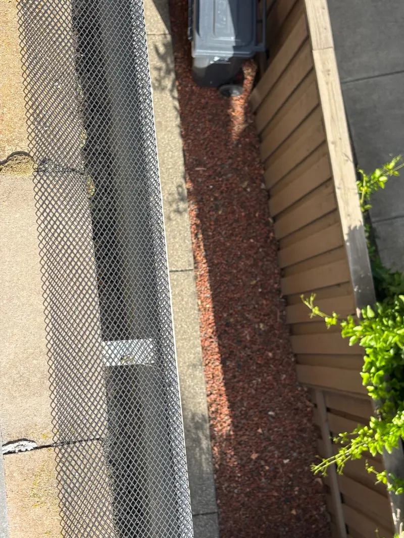 Gutter Cleaning and Maintenance in Davis, CA
