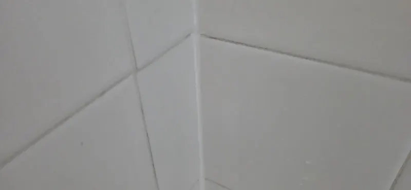 House Cleaning in West Sacramento, CA