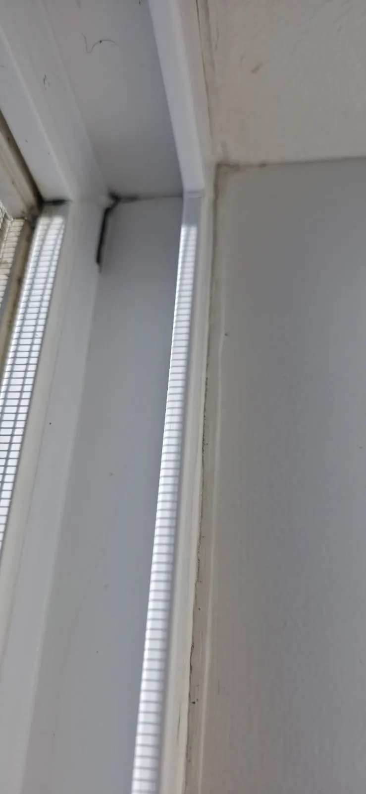 House Cleaning in Sacramento, CA