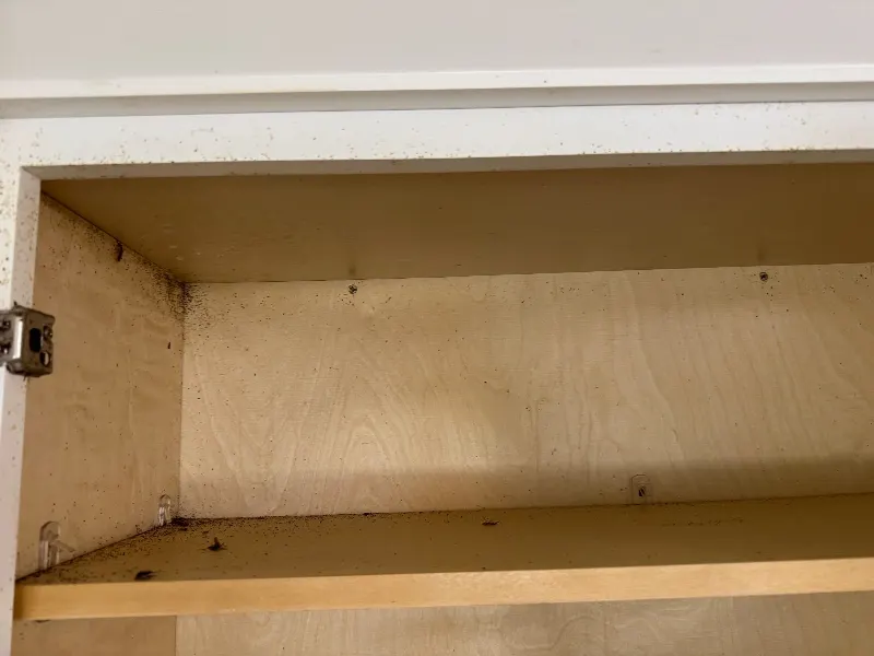 House Cleaning in Sacramento, CA