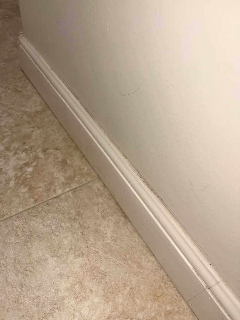 House Cleaning in Davis, CA